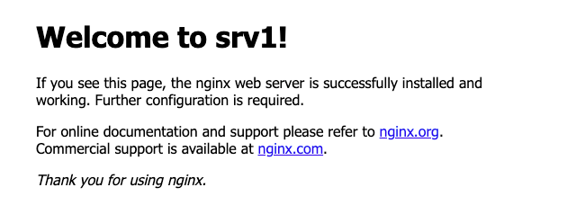 The modified, server-specific NGINX welcome page. The modified, server-specific NGINX welcome page.