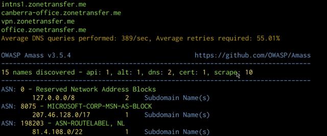 amass-subdomain-enumeration-output.png