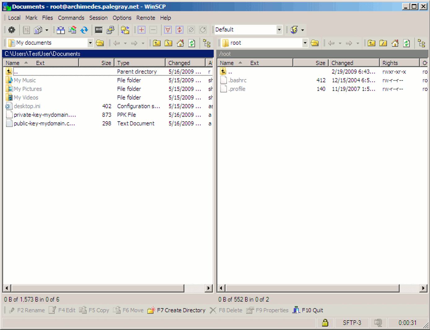 An active WinSCP file transfer session. An active WinSCP file transfer session.